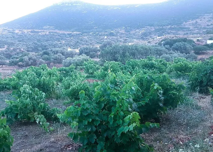 Artistic Cycladic With Spectacular Panoramic View
